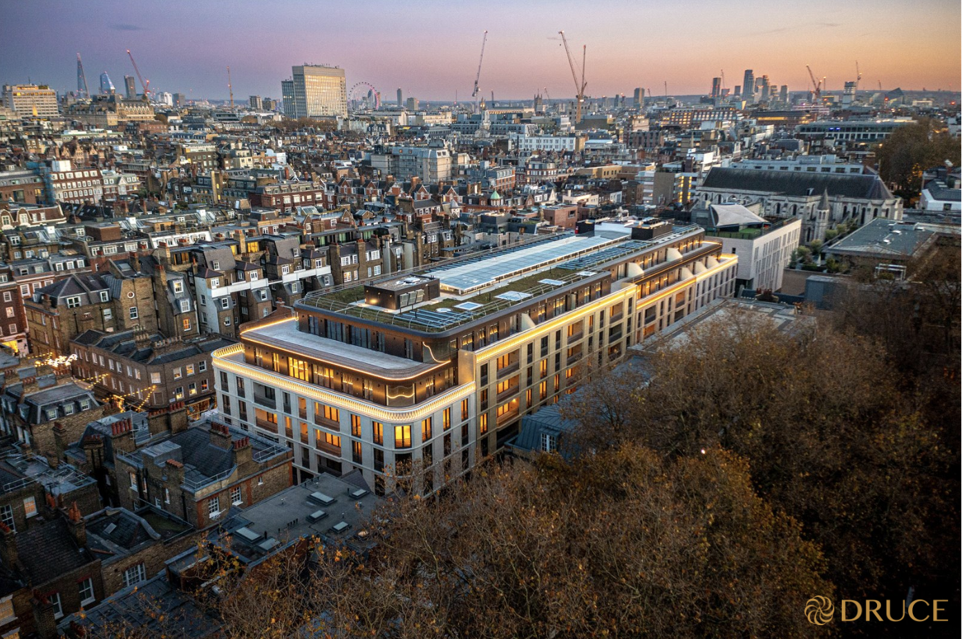 Screenshot 2025-02-11 at 11.31.47 AM.png