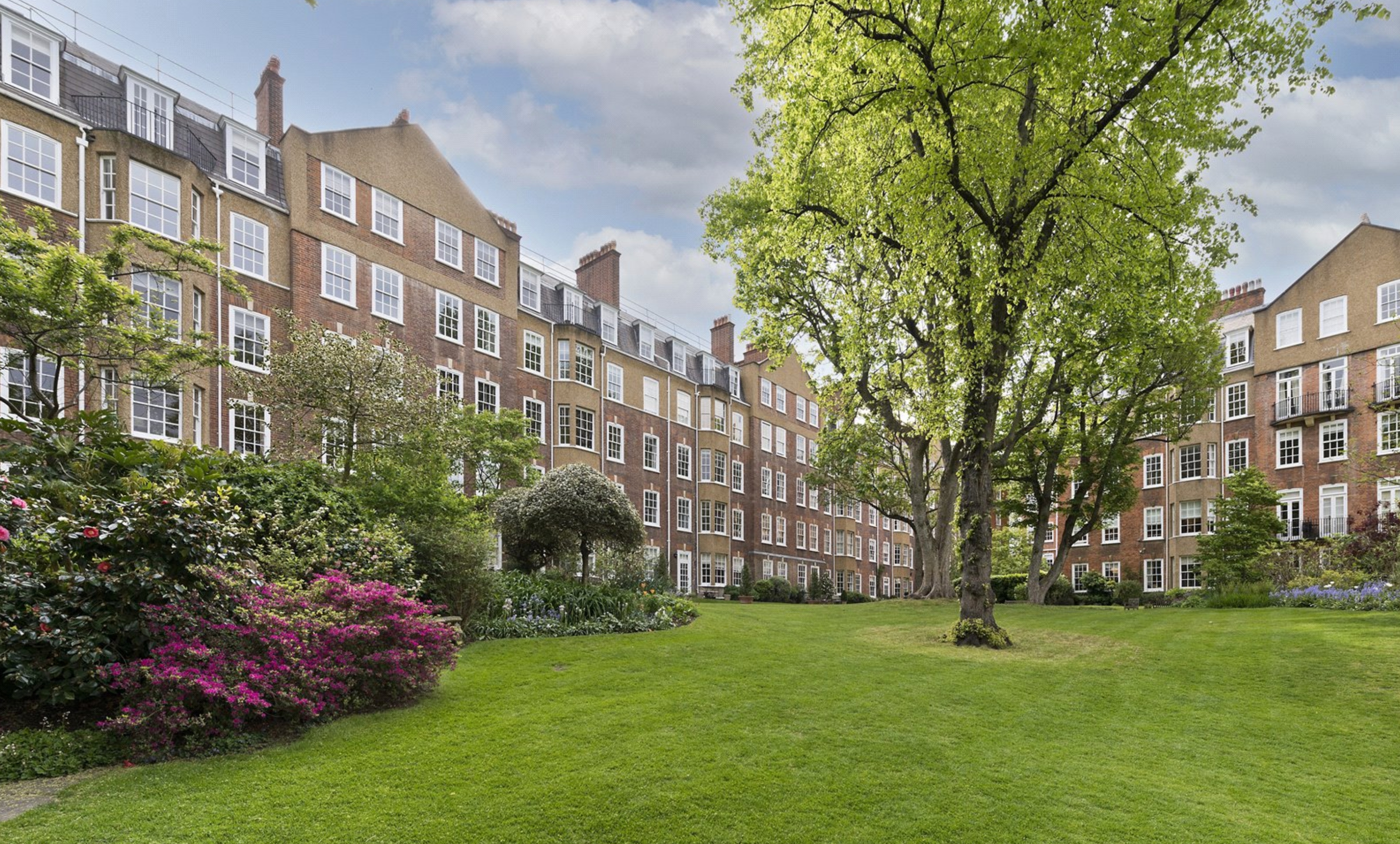 Screenshot 2025-02-10 at 4.12.11 PM.png