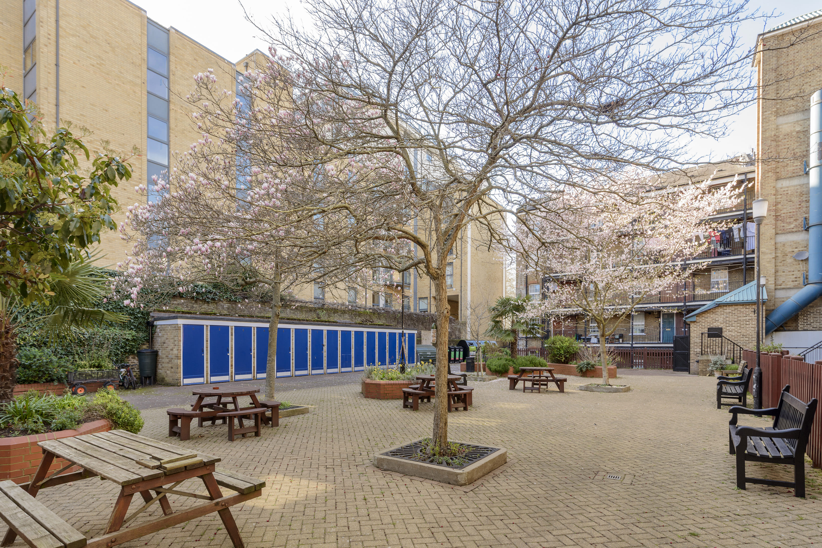 81 gatliff close-7335.jpg