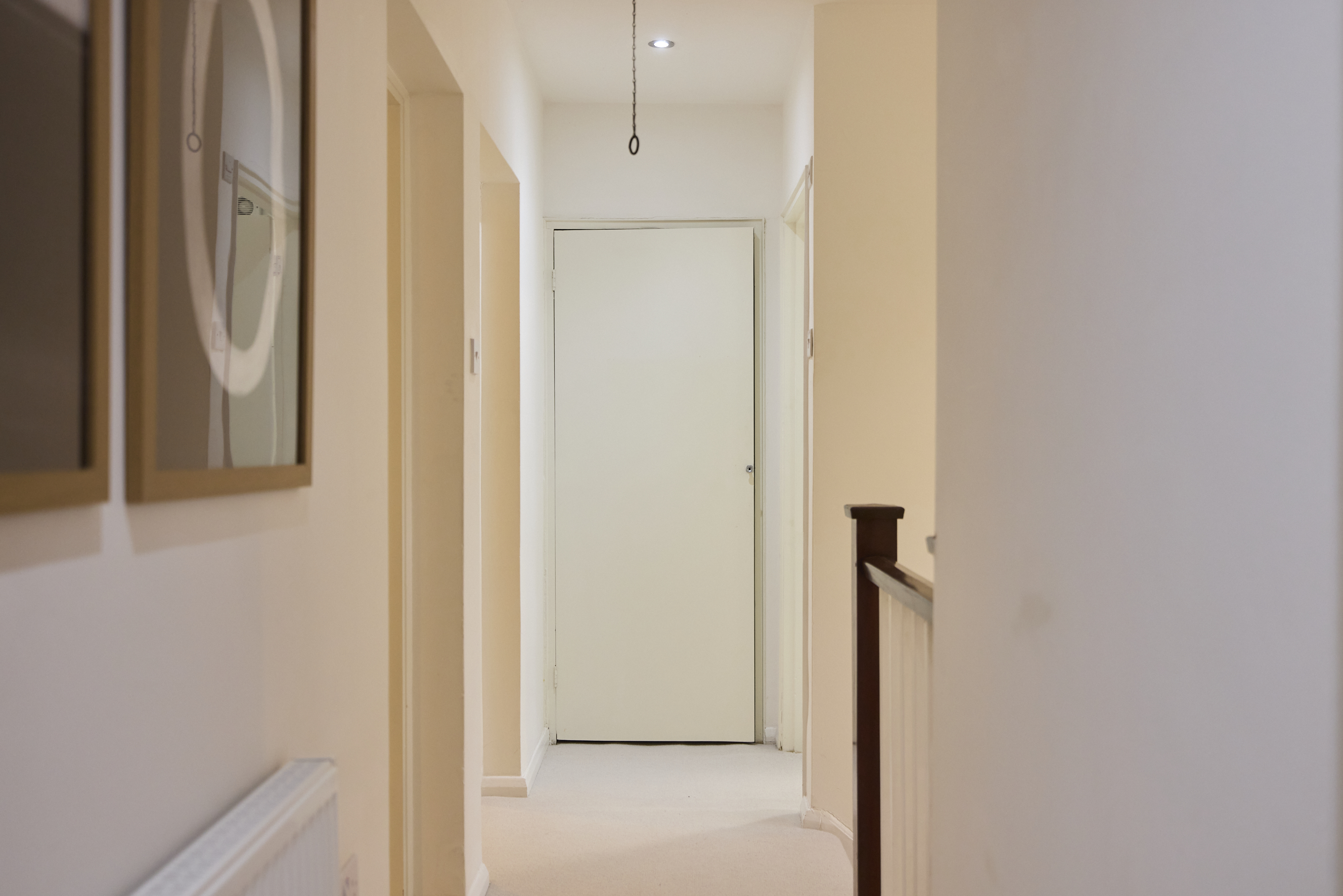 LN RAV 16 MSC_057.jpg