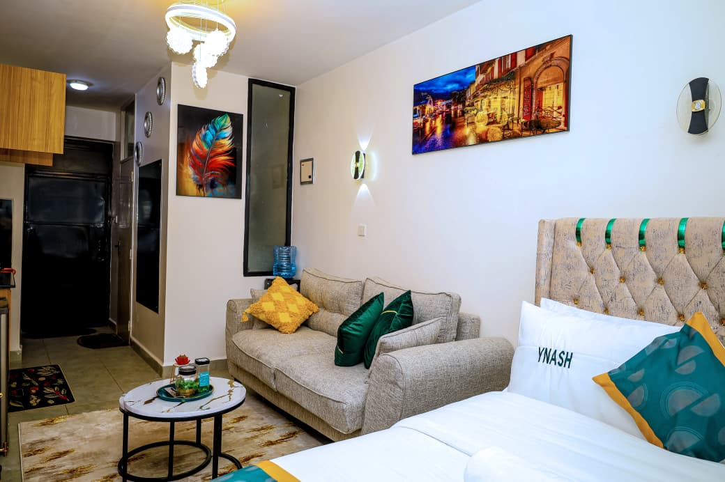 studio airbnb available in Roysambu