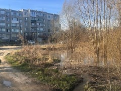 Речка-вонючка в Саратове. Отчаявшиеся горожане приглашают чиновников на "грязевые ванны"