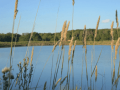 Теплый день с северо-восточным ветром ожидает краснокутцев в воскресенье