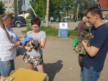 В Саратове собак и кошек бесплатно вакцинируют против бешенства. Адреса