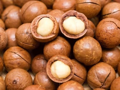 В Саратовскую область не пустили семь тонн сомнительных орехов из Казахстана