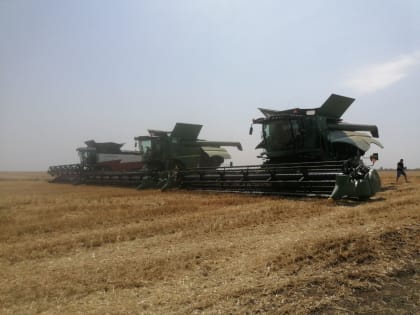 Фермеры Балаковского района собрали первые 100 тысяч тонн зерна