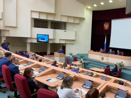 Депутаты саратовской облдумы хотят разрешить себе публикацию обезличенных сведений о доходах и имуществе