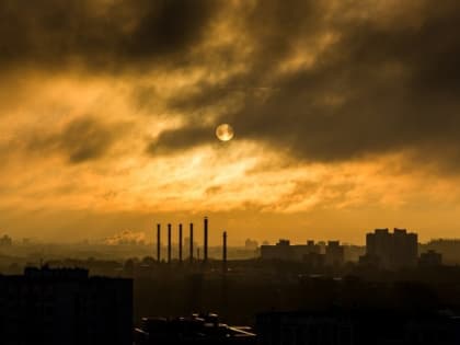 Приглашаем животноводческие хозяйства Саратовской области к сотрудничеству в проведении лабораторно – диагностических исследований на ящур