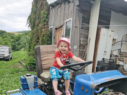 Дачников рассудит Росреестр