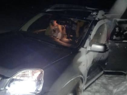 Под Марксом взрослые и трое детей застряли на машине в снежном заносе