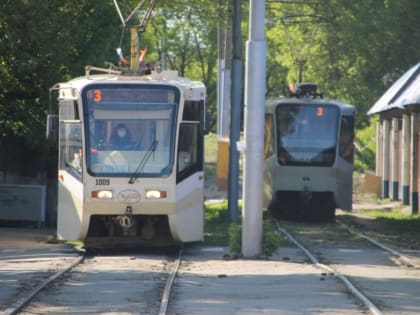 Дерево упало на провода: в Саратове встали троллейбусы и трамваи