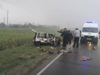 В ДТП под Энгельсом пострадали двое взрослых и двое детей