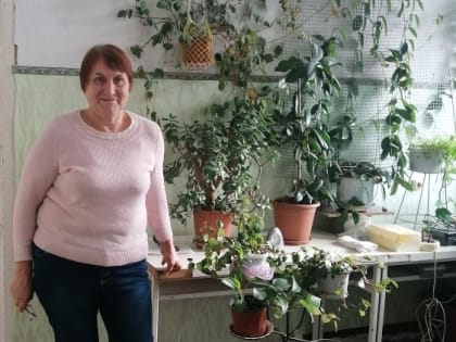 На контроле отдела сельского хозяйства состояние озимых, которые занимают более 50% посевных площадей зерновых культур