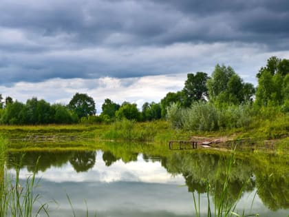 Саратовский Гидрометцентр ждет сильные дожди, град и ветер до 20 м/с