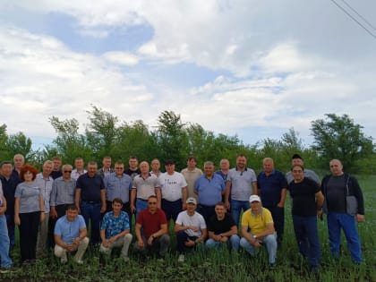 Сельхозтоваропроизводителями  нашего района была проведена взаимопроверка по результатам  посевной кампании 2024 года