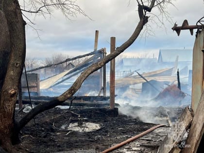 На окраине Саратова загорелись надворные постройки. Погиб мужчина