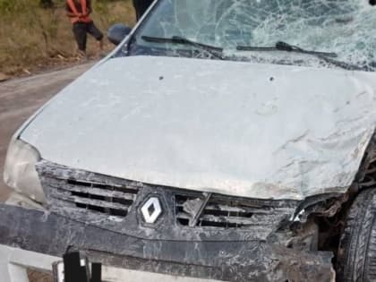 На трассе под Пугачевом "Рено" сбил пешехода и врезался в "КамАЗ"