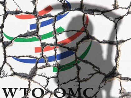 Почему мы до сих пор из ВТО не вышли, где нас пинают, как хотят?