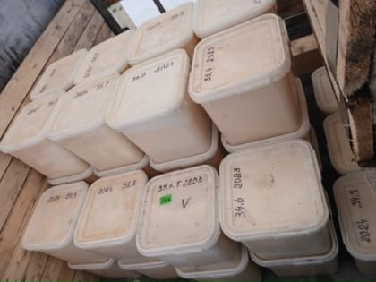 Мед из Саратовской области не выпустили за границу