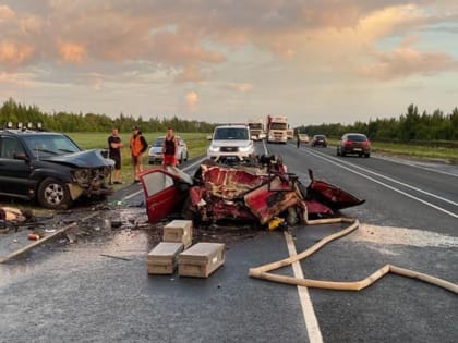 Массовое ДТП на саратовской трассе: трое погибших, четверо раненых