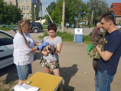 В Саратове и Энгельсе ветеринары бесплатно привили 700 собак и кошек