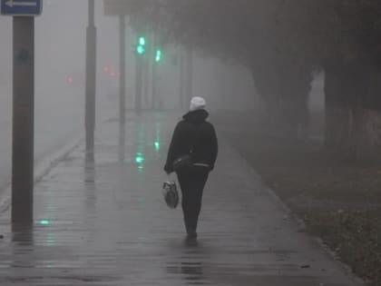 Синоптики обещают саратовцам туман, дождь и снег