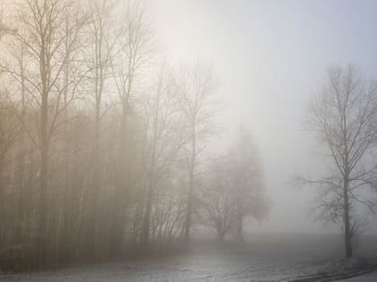 В Саратовской области ожидаются туман, дожди и мокрый снег