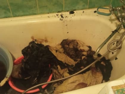 Саратовец пил в квартире водку, а отравился продуктами горения