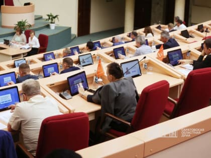 Депутаты установили новые меры поддержки многодетных семей