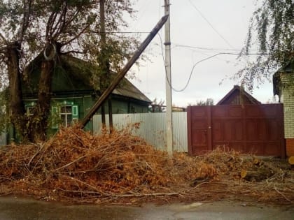 Энгельс. Мусорно-дорожная вакханалия