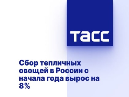 Сбор тепличных овощей в России с начала года вырос на 8%