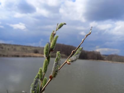 Пятница в Саратове будет теплой