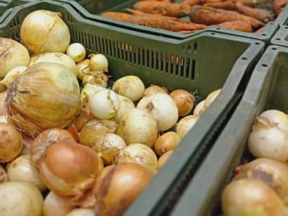 Лук, картошка и капуста подорожали в Саратовской области, подешевели яйца