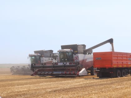 Саратовская область вышла на первое место по сбору зерна