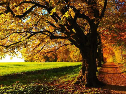 В Саратовской области потеплеет до +25 градусов