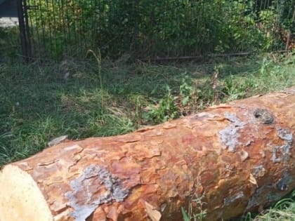 Посещено Пригородное МО