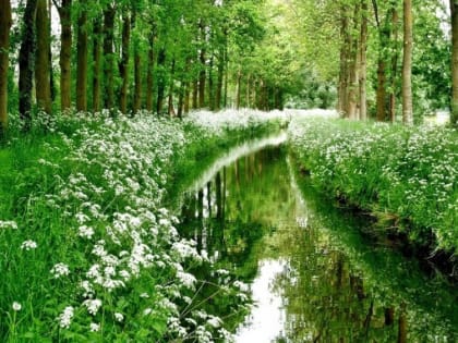 Оперативный прогноз погоды 27 мая 2024 года