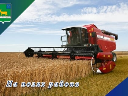 На полях района