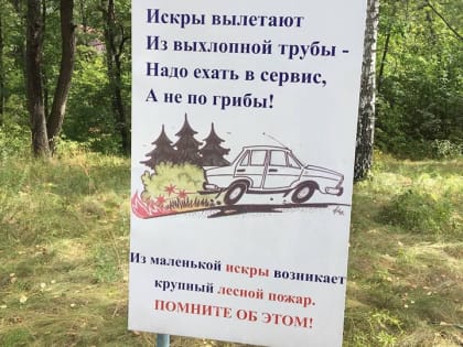 В Саратовской области по вине граждан сгорело 62 гектара леса