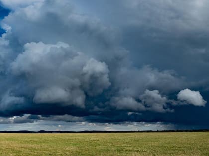 В Саратовской области ждут дожди с грозой