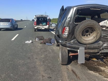 Рефрижератор и иномарки. Полиция ищет свидетелей смертельного ДТП на трассе