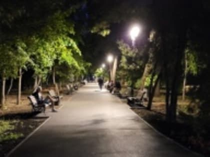 Проблемы освещения в саду «Липки»