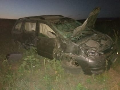 Водитель не удержал 