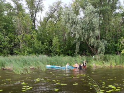 Под Энгельсом шестеро сапбордистов попросили об эвакуации с острова