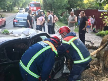 На Новоузенской "Hyundai" влетела в дерево. Четыре человека в больнице