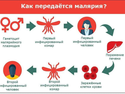 Рубрика "Здоровья"