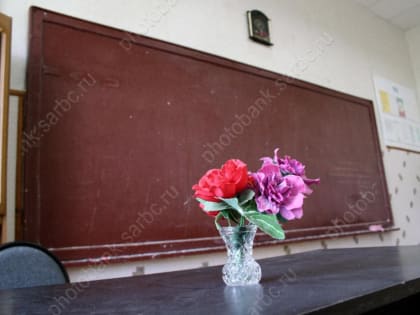 В области из-за ОРВИ и гриппа закрылись 17 школ