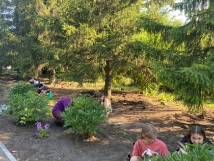 Летние трудовые будни