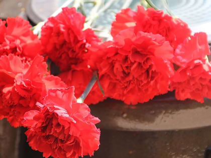 Стало известно о гибели на СВО еще двух саратовских военнослужащих