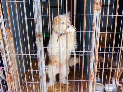 Субботнее чтиво: итоги уходящей недели